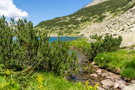 Summer landscape of Fish Banderitsa lake at Pirin Mountain, Bulgariaの写真素材