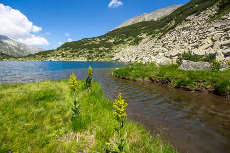 Summer landscape of Fish Banderitsa lake at Pirin Mountain, Bulgariaの写真素材