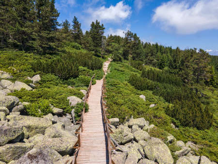 Aerial view of Morenite (Moraines) - Stone river at Vitosha Mountain, Sofia City Region, Bulgariaの写真素材