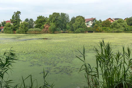 Amazing view of Mogosoaia Palace near city of Bucharest, Romaniaの写真素材