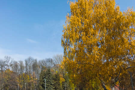 Amazing Autumn view of South Park in city of Sofia, Bulgariaの写真素材