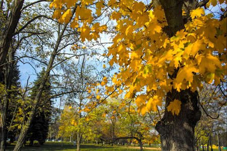 Amazing Autumn view of South Park in city of Sofia, Bulgaria