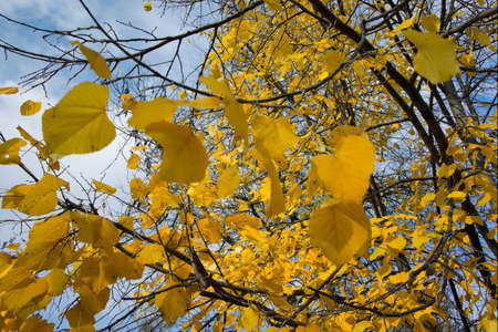 Amazing Autumn view of South Park in city of Sofia, Bulgaria