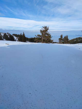 Amazing Winter landscape of Vitosha Mountain, Sofia City Region, Bulgariaの写真素材