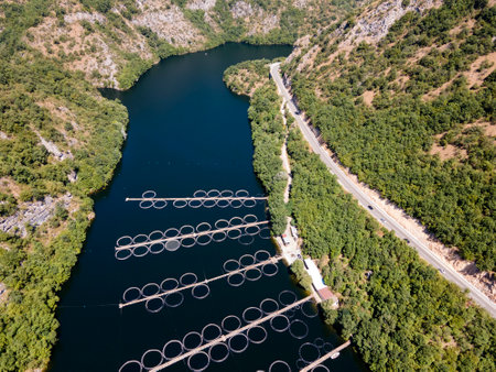 Aerial view of Krichim Reservoir, Rhodopes Mountain, Plovdiv Region, Bulgariaの写真素材
