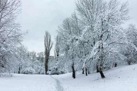 Amazing Winter view panorama of South Park in city of Sofia, Bulgariaの写真素材