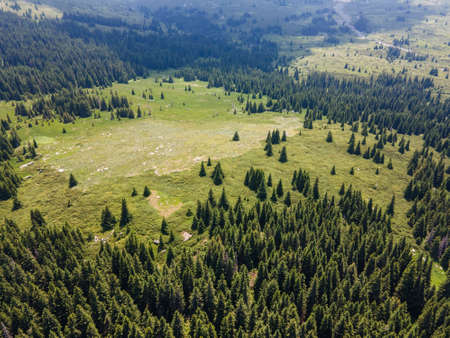 Aerial view of Konyarnika area at Vitosha Mountain, Sofia City Region, Bulgaria