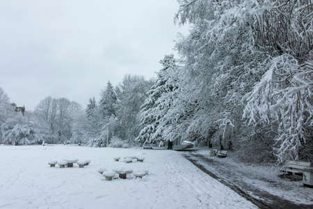 Amazing Winter landscape of South Park in city of Sofia, Bulgariaの写真素材
