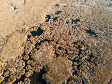 Aerial Autumn view of Dragoman marsh, Sofia region, Bulgaria
