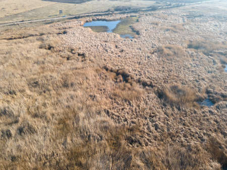 Aerial Autumn view of Aldomirovtsi marsh, Sofia region, Bulgariaの写真素材
