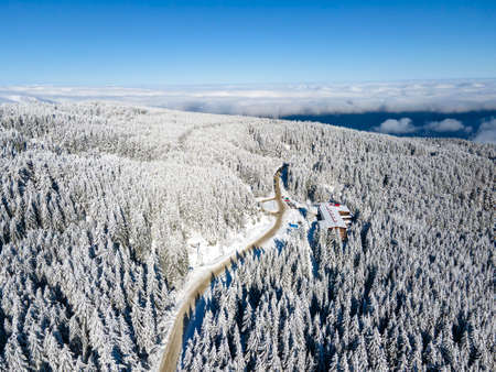 Aerial Winter view of Vitosha Mountain, Sofia City Region, Bulgariaの写真素材