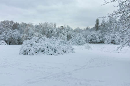 Amazing Winter Landscape of South Park in city of Sofia, Bulgaria