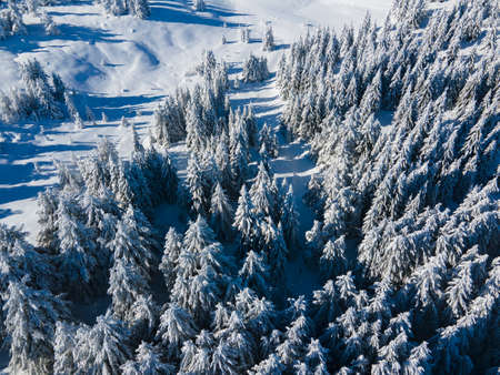 Aerial Winter view of Vitosha Mountain, Sofia City Region, Bulgariaの写真素材