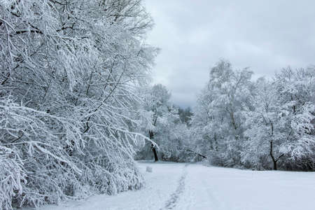Amazing Winter landscape of South Park in city of Sofia, Bulgaria
