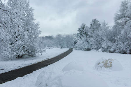 Amazing Winter landscape of South Park in city of Sofia, Bulgaria