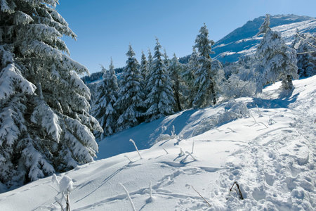 Amazing Winter landscape of Vitosha Mountain, Sofia City Region, Bulgaria