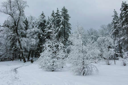 Amazing Winter view panorama of South Park in city of Sofia, Bulgaria