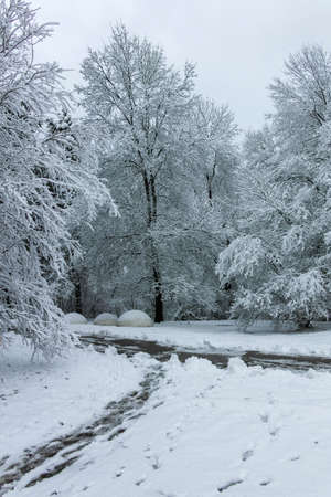 Amazing Winter view of South Park in city of Sofia, Bulgaria