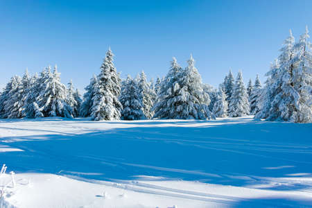 Amazing Winter landscape of Vitosha Mountain, Sofia City Region, Bulgariaの写真素材