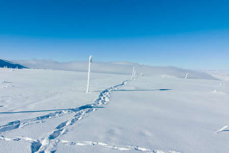 Amazing Winter landscape of Vitosha Mountain, Sofia City Region, Bulgaria