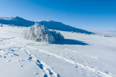 Amazing Winter landscape of Vitosha Mountain, Sofia City Region, Bulgaria