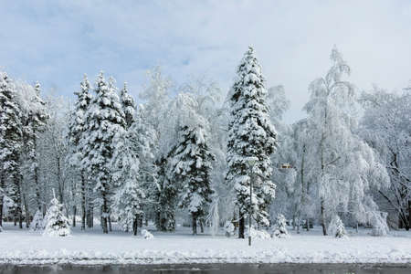 Amazing Winter view of South Park in city of Sofia, Bulgaria