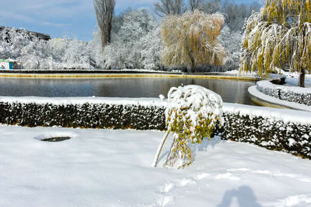 Amazing Winter view of South Park in city of Sofia, Bulgariaの写真素材