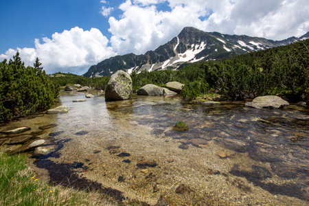 Amazing Summer Landscape of Pirin Mountain near Popovo Lake, Bulgariaの写真素材