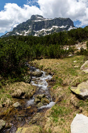 Amazing Summer Landscape of Pirin Mountain near Popovo Lake, Bulgariaの写真素材