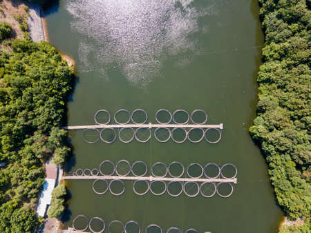 Aerial view of Krichim Reservoir, Rhodopes Mountain, Plovdiv Region, Bulgaria