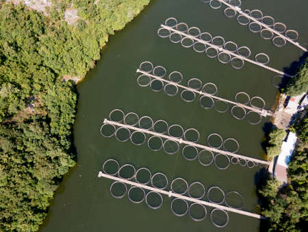 Aerial view of Krichim Reservoir, Rhodopes Mountain, Plovdiv Region, Bulgaria