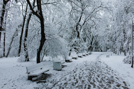 Amazing Winter view of South Park in city of Sofia, Bulgariaの写真素材