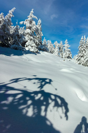 Amazing Winter landscape of Vitosha Mountain, Sofia City Region, Bulgariaの写真素材