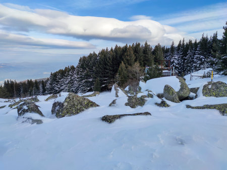 Amazing Winter landscape near Platoto area at Vitosha Mountain, Sofia City Region, Bulgariaの写真素材