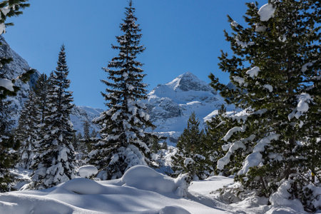 Amazing Winter view of Rila Mountain near Malyovitsa peak, Bulgariaの写真素材