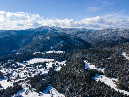 Aerial winter view of Rhodope Mountains around resort of Pamporovo, Smolyan Region, Bulgariaの写真素材