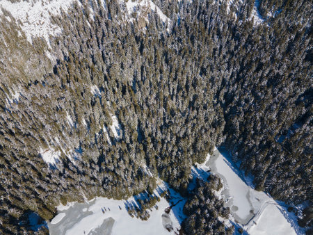Aerial winter view of Rhodope Mountains around resort of Pamporovo, Smolyan Region, Bulgaria