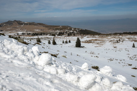 Winter landscape of Vitosha Mountain, Sofia City Region, Bulgariaの写真素材