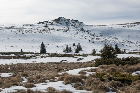 Winter landscape of Vitosha Mountain, Sofia City Region, Bulgariaの写真素材