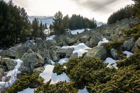 Winter landscape of Vitosha Mountain, Sofia City Region, Bulgariaの写真素材