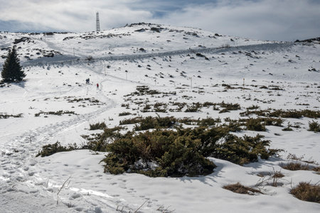 Winter landscape of Vitosha Mountain, Sofia City Region, Bulgariaの写真素材