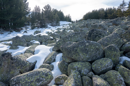 Winter landscape of Vitosha Mountain, Sofia City Region, Bulgariaの写真素材