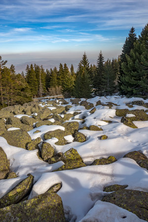 Winter landscape of Vitosha Mountain, Sofia City Region, Bulgariaの写真素材