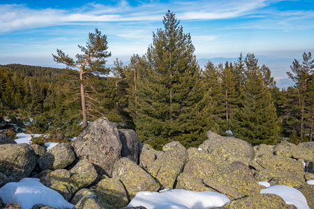 Winter landscape of Vitosha Mountain, Sofia City Region, Bulgariaの写真素材