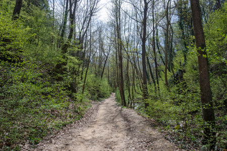Amazing Spring view of Belasitsa Mountain, Bulgaria