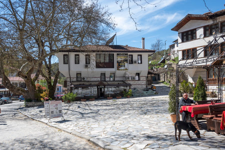 MELNIK, BULGARIA - APRIL 13, 2023: Typical street and old houses at town of Melnik, Blagoevgrad region, Bulgariaのeditorial素材