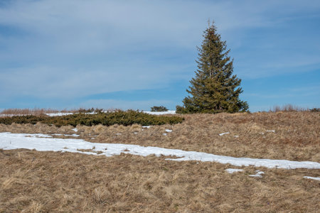 Winter landscape of Vitosha Mountain, Sofia City Region, Bulgariaの写真素材