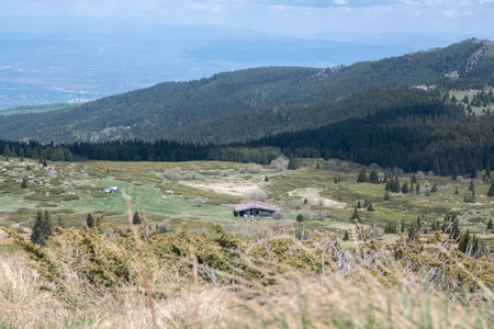 Spring view of Konyarnika area at Vitosha Mountain, Sofia City Region, Bulgariaの写真素材