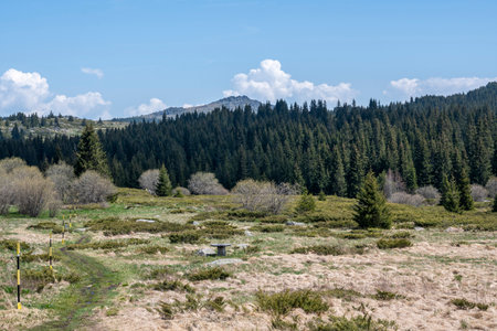 Spring view of Konyarnika area at Vitosha Mountain, Sofia City Region, Bulgariaの写真素材