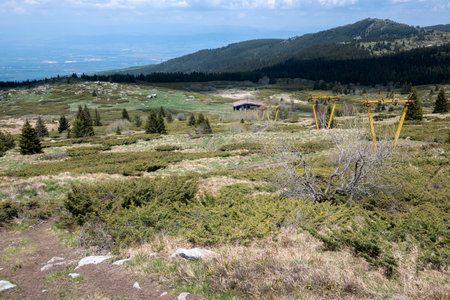 Spring view of Konyarnika area at Vitosha Mountain, Sofia City Region, Bulgaria